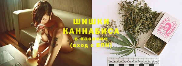 спайс Алексин